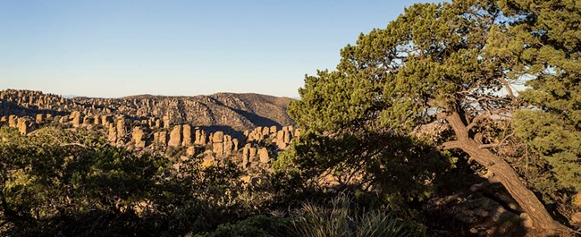 A canyon with rock formations