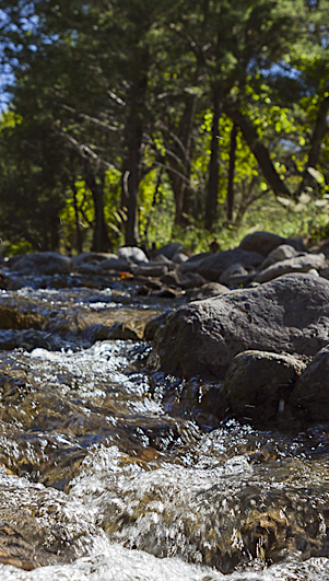 A stream, rocks, and trees A stream, rocks, and trees
