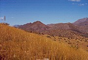 The Chiricahua mountains are surrounded by grasslands. The low, rolling hills have numerous species of native and non-native grasses, and other desert shrubland species as well (such as agave and yucca). The Chiricahua mountains are surrounded by grasslands. The low, rolling hills have numerous species of native and non-native grasses, and other desert shrubland species as well (such as agave and yucca).