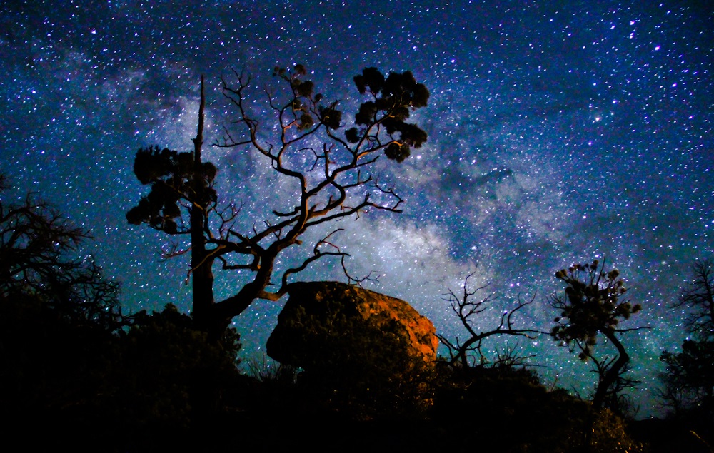 stars on a black sky, tress and rocks in the foreground
