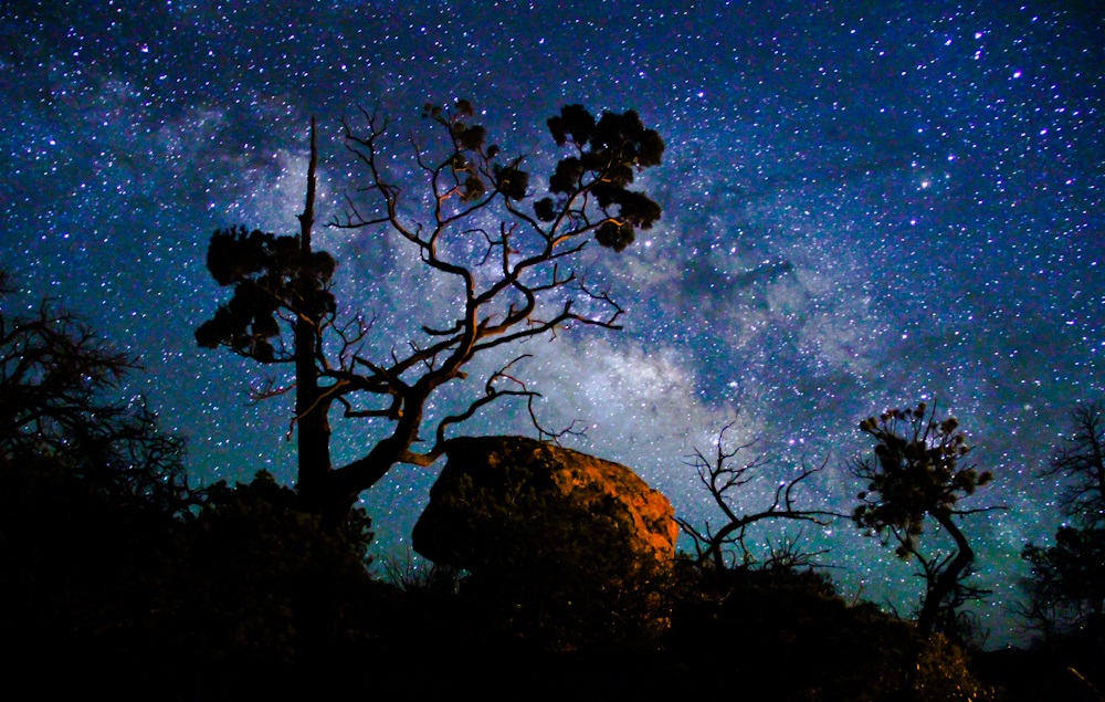 Chiricahua NM sky at night stars on a black sky, tress and rocks in the foreground