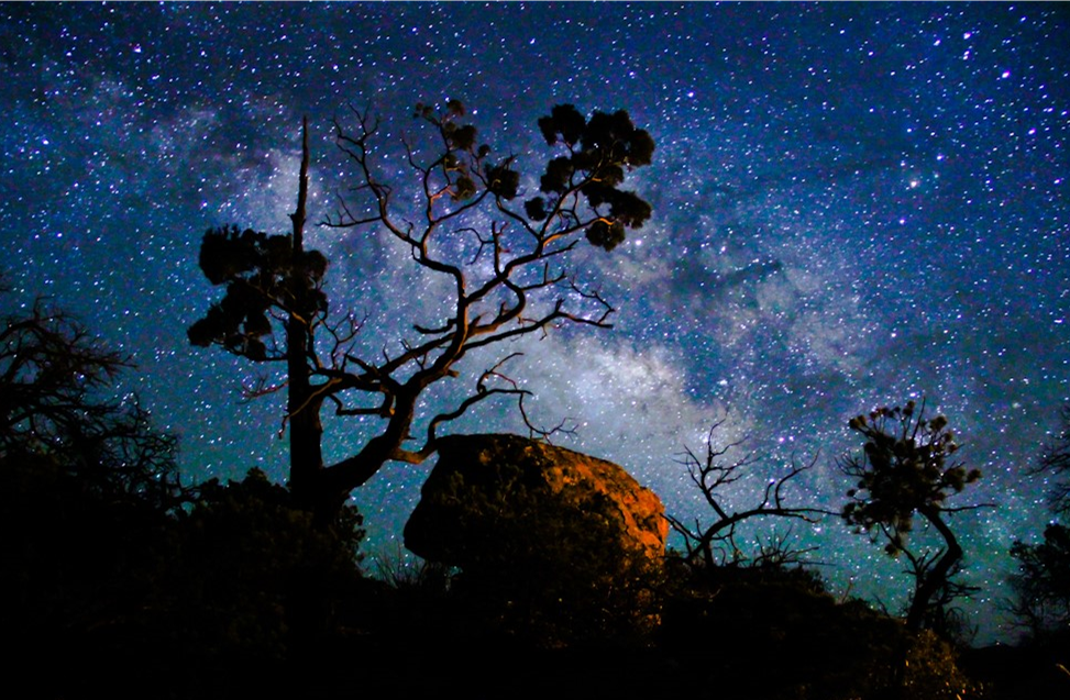 A tree and rocks stand in contrast to a blue night sky dotted with stars.