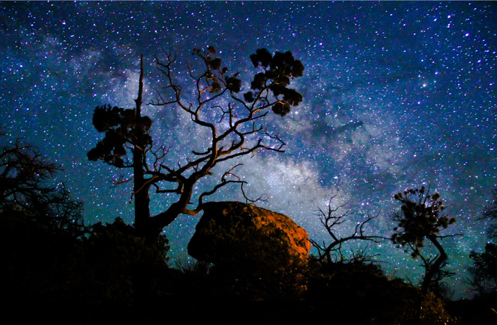 Chiricahua NM Night Sky A tree and rocks stand in contrast to a blue night sky dotted with stars.