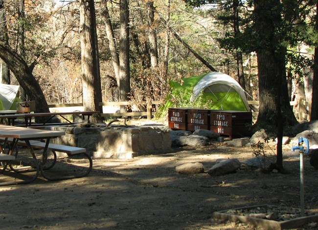 picnic table, food lockers, fire pit and tent in campground