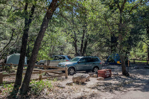 Campground and tents Two vehicles and a tent surrounded by trees with green leaves.