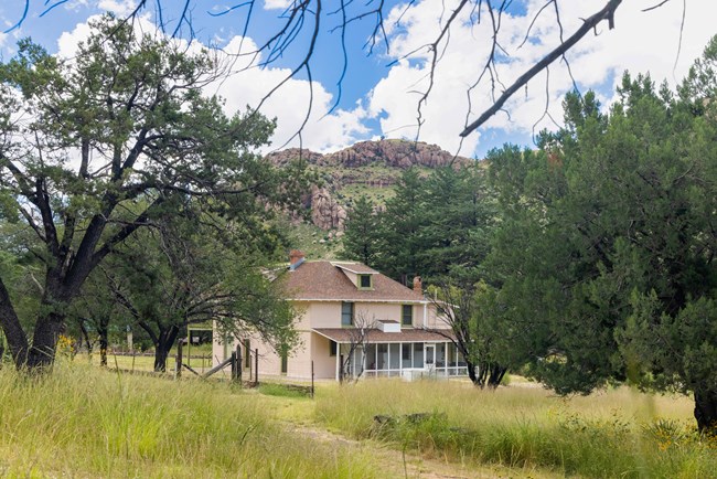 Copyright WNPA by Kate Dibildox for official NPS use - Do Not Copy or Redistribute Faraway Ranch house is framed by branches with large rocks formations behind and grases in the foreground