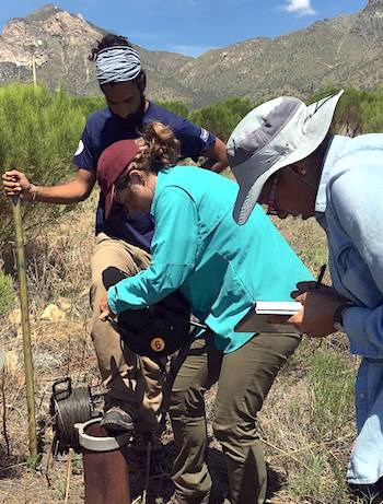 Researchers in the field