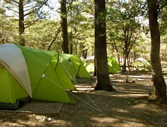 Group campsite