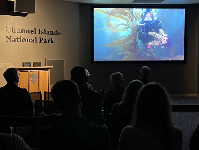 A diver holds a sea star on a screen in a dark theater.