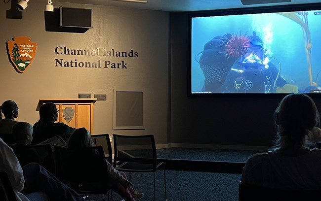 A dark theater with people watching a ranger scuba diving in blue water. The ranger holds a sea urchin.