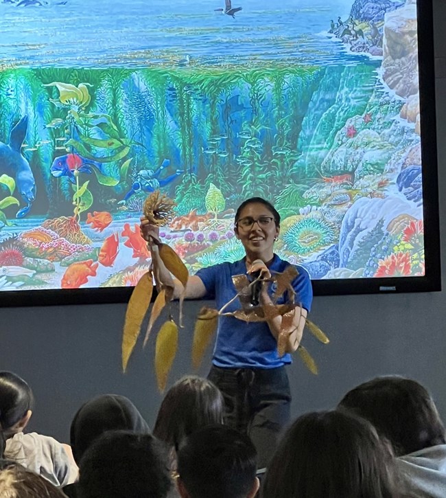 Students watch as a female presenter shows a model of giant kelp with a drawing of a kelp forest in the background.