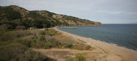 Tim Hauf