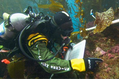 A diver records data for Channel Islands National Park's Kelp Forest Monitoring Program