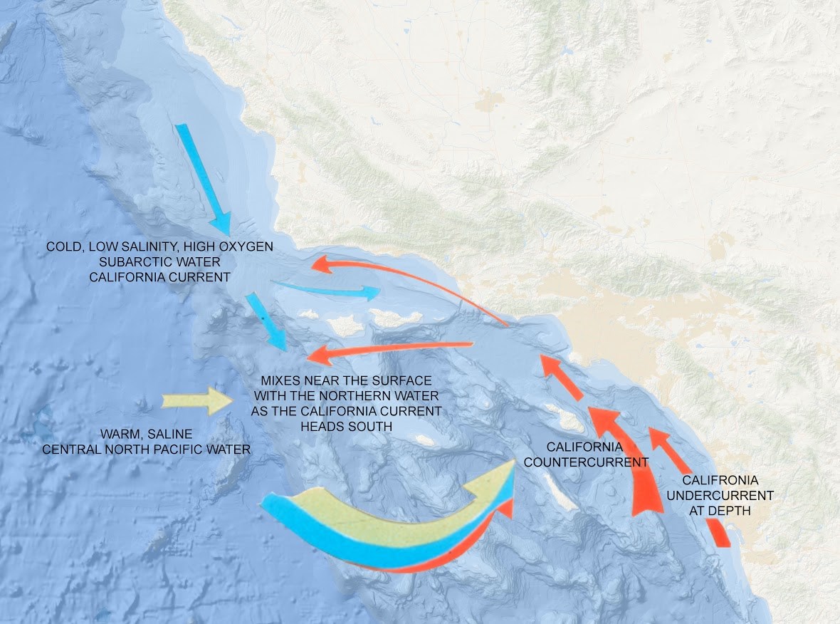 Topographic map of the ocean and coast around Channel Islands National Park with ocean current information overlayed.