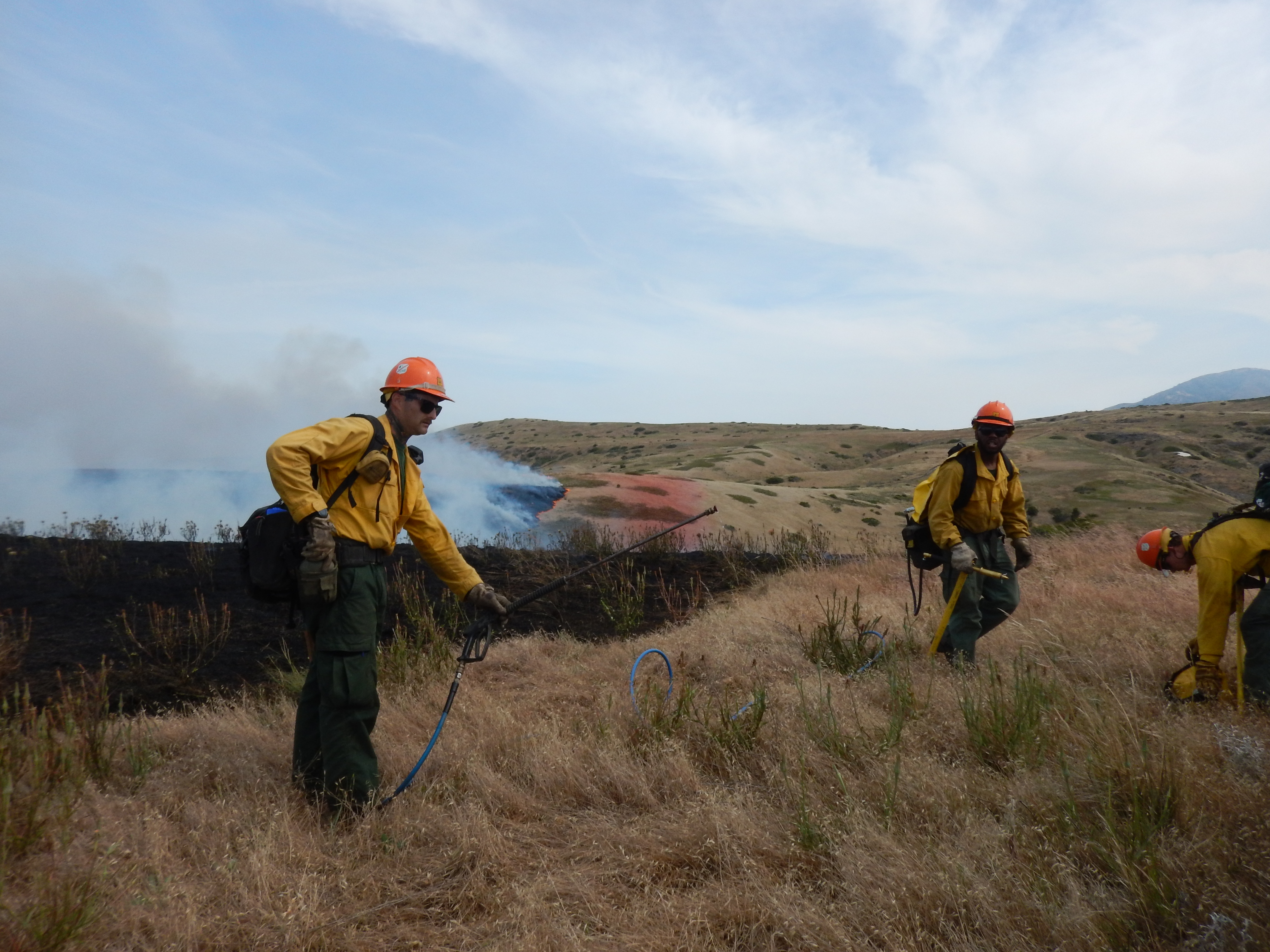 3 firefighters fighting fire in grassy hillside