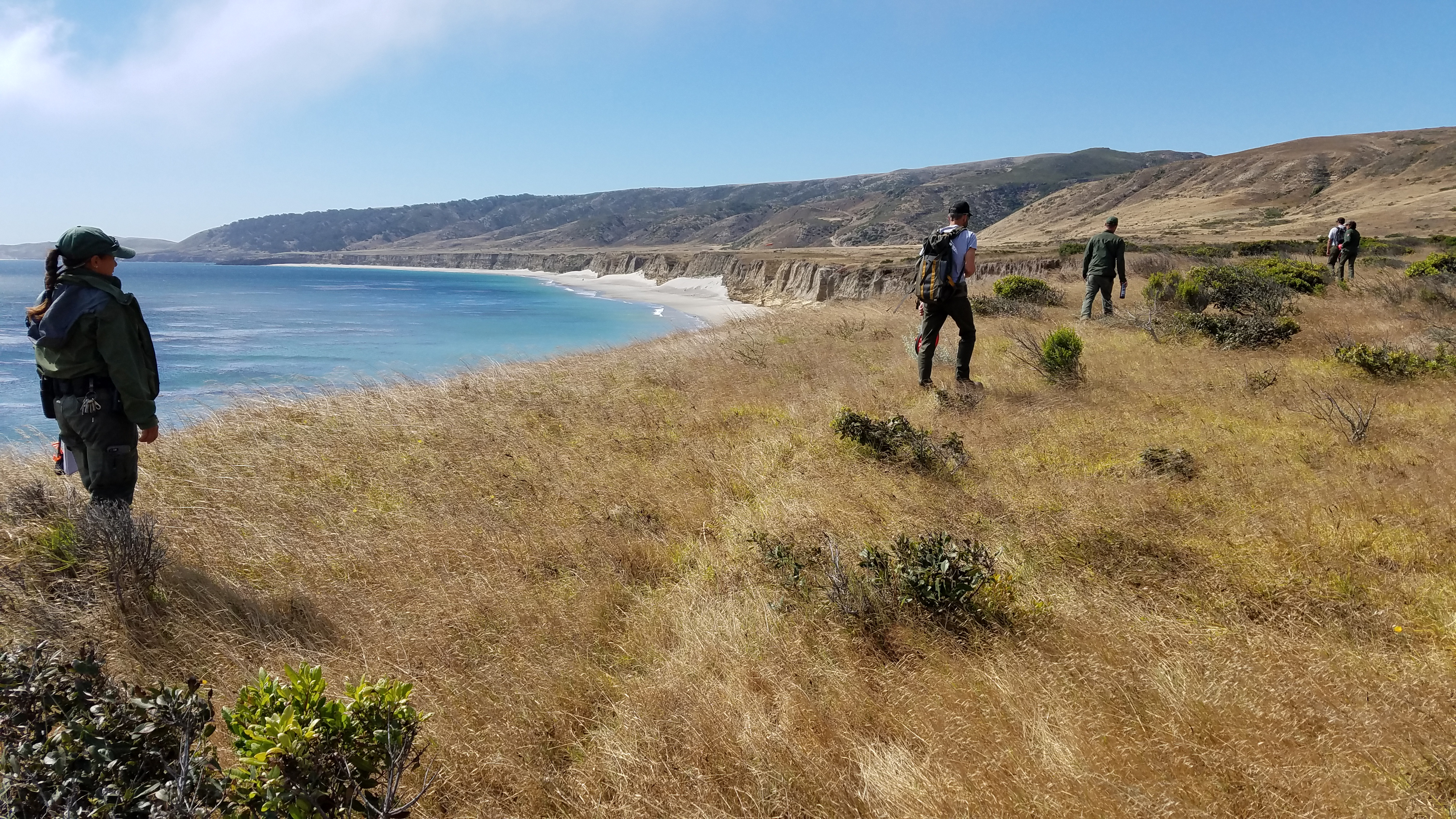 hikers on low coastal bluff overlooking white sand beach.