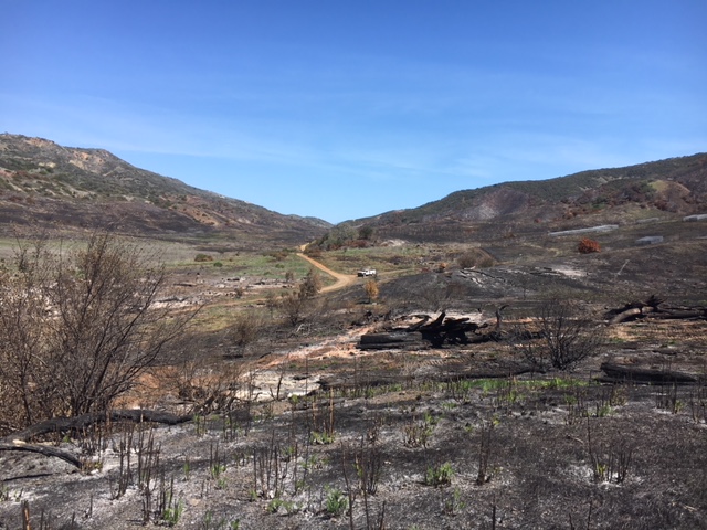 Fire scarred valley landscape.