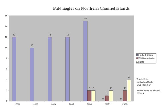 bald eagle chart for northern channel islands