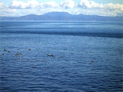 looking north from anacapa across channel to mainland