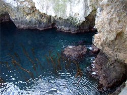 landing cove, anacapa island