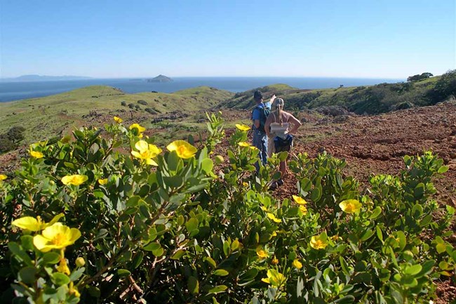 two hikers on a ridge over looking the ocean.