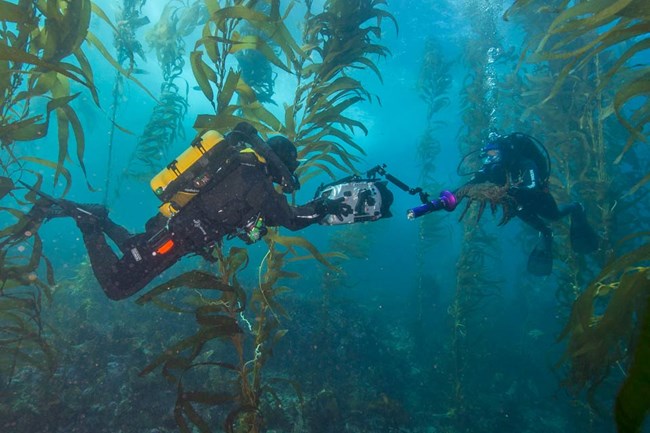 ©Brett Seymour, National Park Service ©Brett Seymour, National Park Service