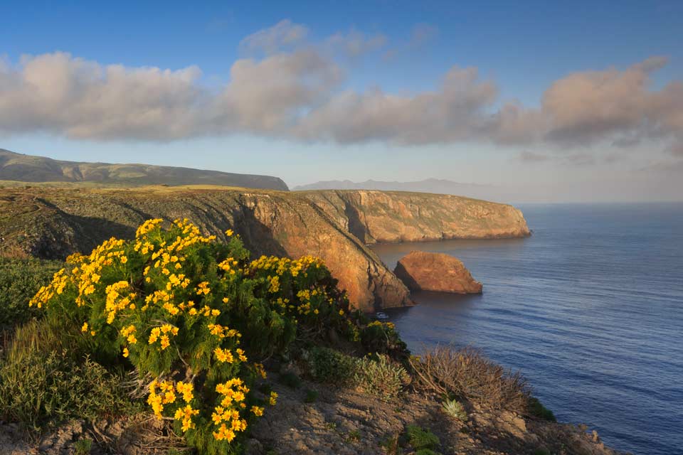 Santa Cruz Island - Channel Islands National Park (U.S. National Park  Service)