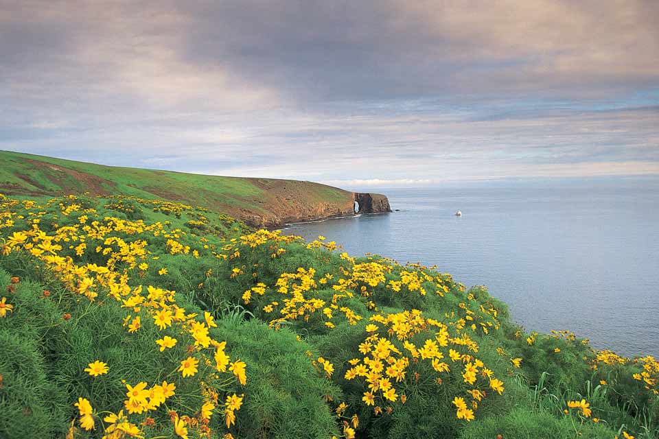 visit santa barbara channel islands