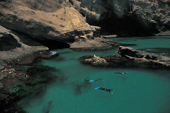 Things To Do Santa Barbara Island Channel Islands National Park