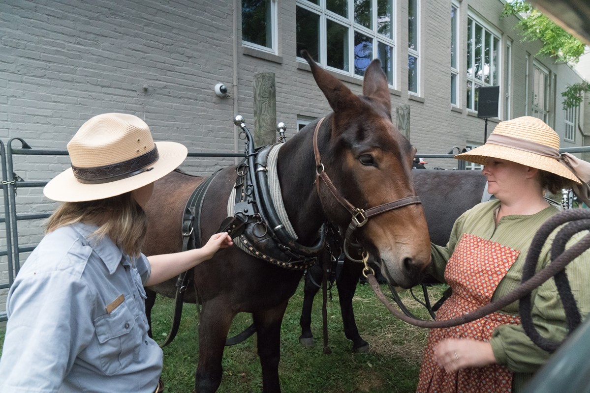 Park Ranger and person in historical clothing with two mules::Meet the Mules in Georgetown.  Credit:  Bill Rives/Georgetown Heritage
