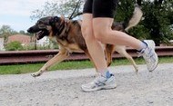 Runner with dog on leash Runner with dog on leash
