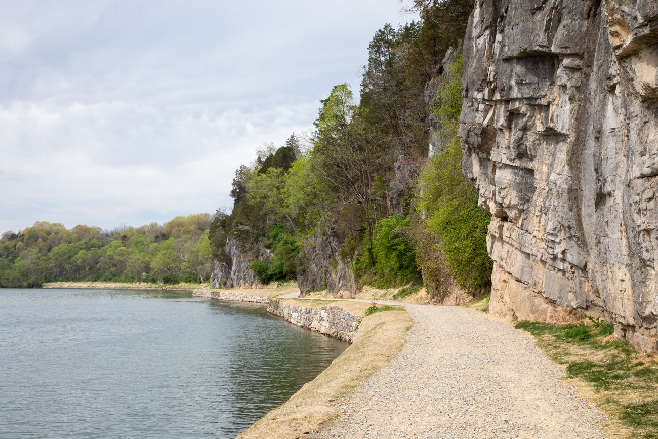 At Big Slackwater, the C&O Canal towpath winds along edge of the Potomac River in Maryland.