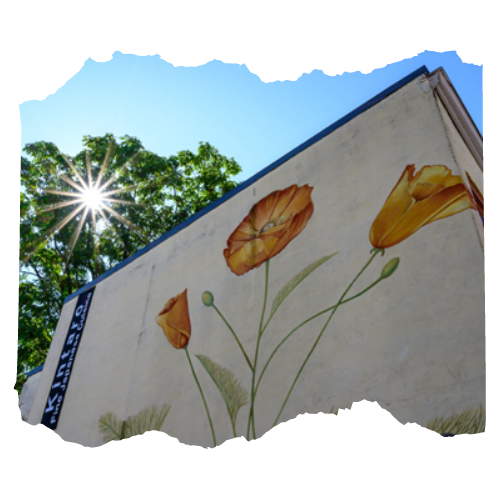 Building mural of orange flowers.