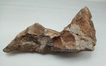 Balls Bluff Siltstone
