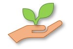 A hand holding a light green plant.