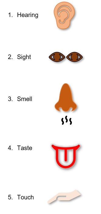List of the 5 senses; ear for hearing, eyes for sight, nose for smell, tongue for taste & hand for touch.