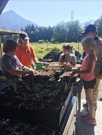Concrete Elementary School kids transplanting native plants at the North Cascades National Park Native Plant Nursery.