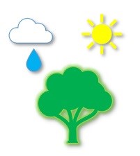 A white cloud, a blue rain drop, a green tree and a yellow sun.