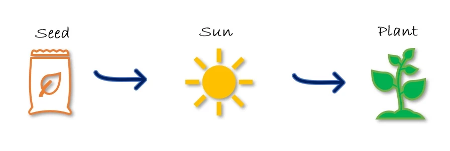 Seed to Plant Activity. (NPS Image / Kelly Savannah) A brown bag of seed with blue arrows pointing to the bright yellow sun and a green growing plant.