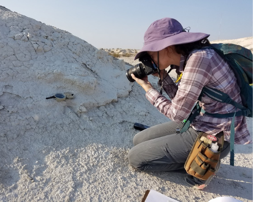 Geoscientists-in-the-Parks participant, Susie Hertfelder, photographing an in situ vertebra fossil at Tule Springs Fossil Beds National Mounument, NV.