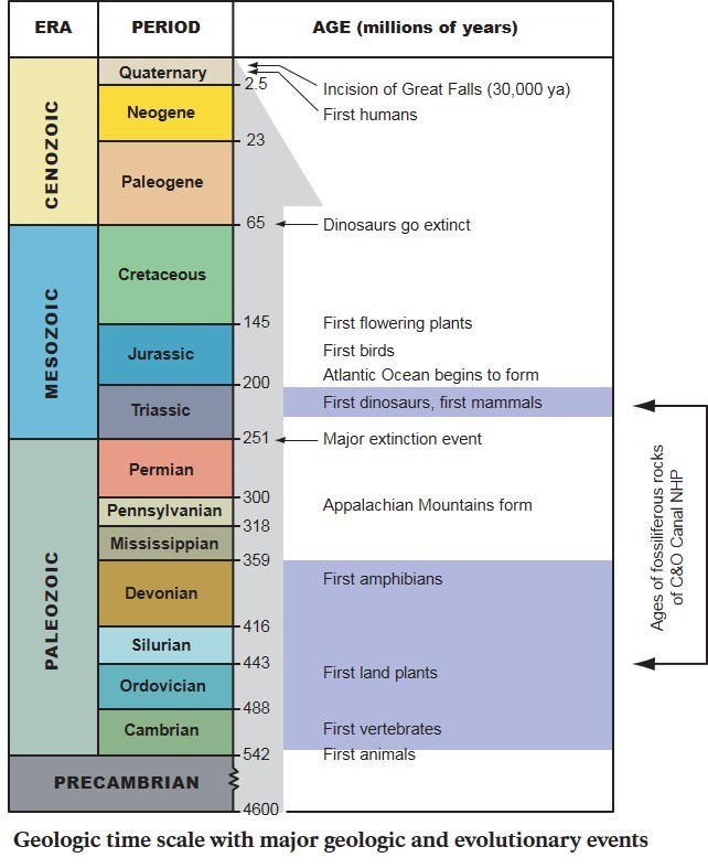 Diagram of C&O Canal geologic time scale showing major evolutionary and geologic events.