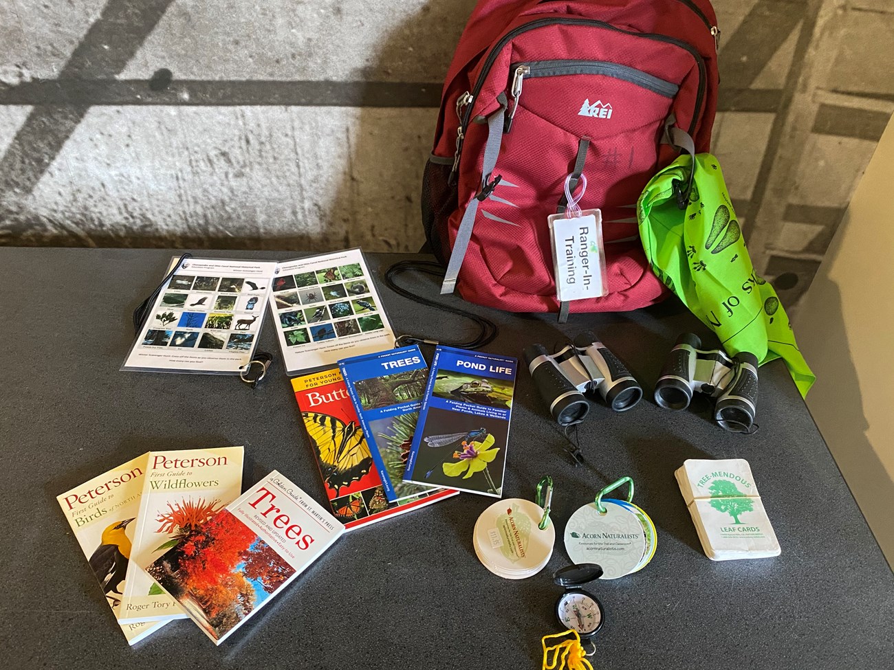 Field guides, identification cards, navigation, and other assorted items used to build an explorer backpack.