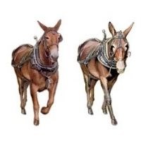 Digital illustration of two mules.