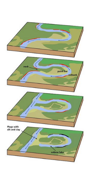 Diagram of Oxbow lake formation in a meandering stream.