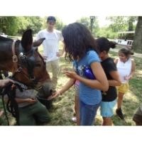 Youth visitors petting a mule at the park.