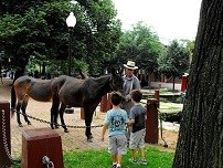 A Ranger in period-costume introduces two young boys to the mules who will help pull the canal boat down the canal.