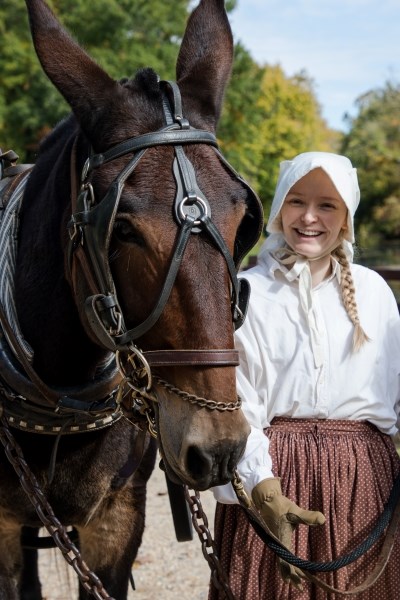 Mule standing to the left of a young woman dressed in historic clothing.