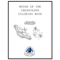 Front cover of the Moths of the Chesapeake Coloring Pages.