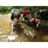 Three children with nets kneel by a stream and examine their catch.