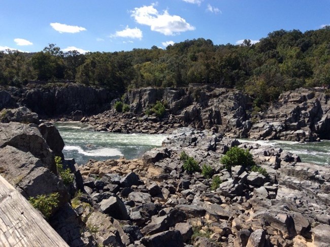 Looking downriver from Olmsted Island